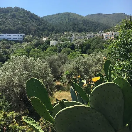 Cactus Garden Village