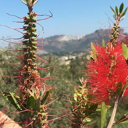 Cactus Garden Village * Yalıkavak